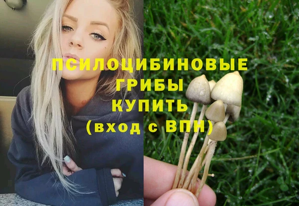 стафф Алексин