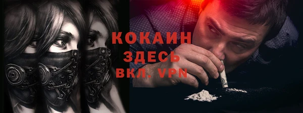 стафф Алексин