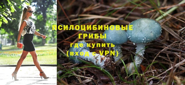 стафф Алексин