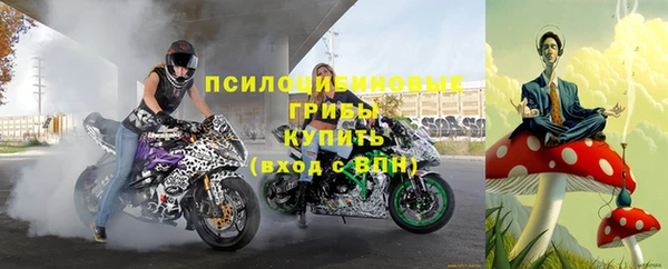 стафф Алексин