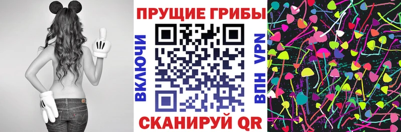 купить наркотики сайты  Лихославль  Псилоцибиновые грибы Cubensis 